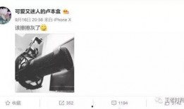 桃博最新爆料,娱乐圈最新爆料背后的真相