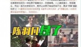 王海鑫最新爆料新闻视频,揭秘事件背后惊人真相