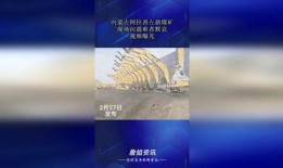 阿拉善盟爆料最新消息视频,视频揭秘神秘事件！