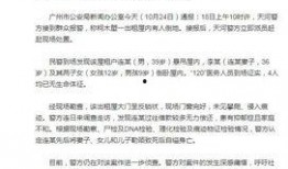 热点爆料国内新闻最新,国内最新热点事件背后的真相与影响