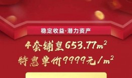 泰安碧桂园爆料最新消息,揭秘项目进展与未来规划