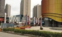 周晓鸥最新动态爆料,揭秘歌手背后的故事与心路历程