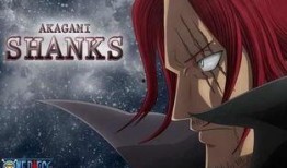 海贼王最新情报爆料是第几集,揭秘第XXX集精彩剧情！