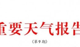 东营负面新闻爆料最新,官方调查启动