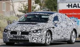 cc明年的最新爆料,揭秘娱乐圈惊天大事件