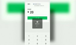 大爆料最新视频下载免费,免费下载背后的秘密与惊喜