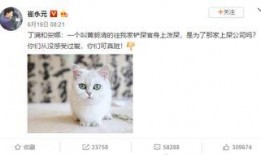 最新爆料崔哥,揭秘娱乐圈惊人内幕