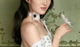 刘亦菲最新消息爆料,揭秘女神近况与神秘新作品