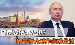 新闻爆料俄罗斯事件最新,最新事件引发国际关注