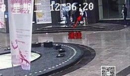 文山凯凯最新细节爆料,揭秘项目细节与进展