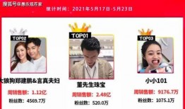 董爆料最新视频,深度解析事件背后真相