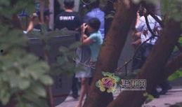 对峙2最新爆料刀,刀系英雄全新技能曝光，战局再起风云