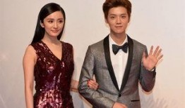 杨幂鹿晗最新爆料,揭秘娱乐圈背后的秘密与真相