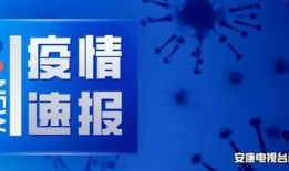 安康最新爆料消息,揭秘事件背后惊人真相