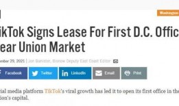 tiktok最新爆料,行业动态与未来趋势深度解析