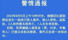 石家庄高三爆料案件最新,揭秘校园疑云背后的真相