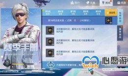 i9和平精英新皮肤爆料最新,炫酷特效，引领潮流