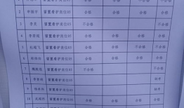 巡查员最新爆料信息表怎么填,揭秘信息表背后的惊人真相