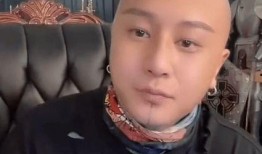 清河爆料最新情况视频,事件进展及幕后真相曝光