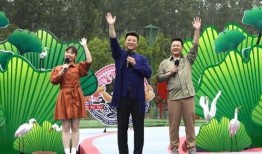 武汉李先生最新爆料视频,揭秘XX事件背后真相