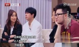 文山凯凯最新细节爆料,揭秘项目细节与进展